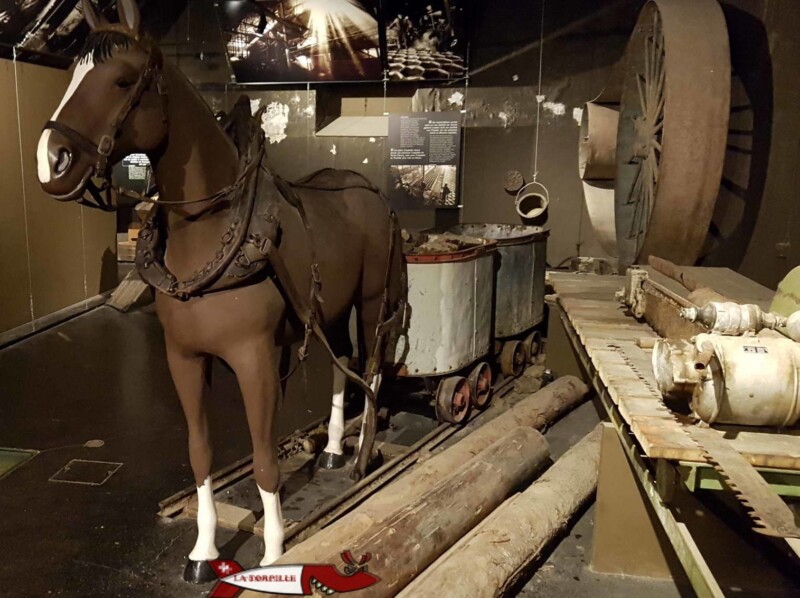 Un cheval tirant deux wagonnets remplis de minerai aux mines d'asphalte de travers
