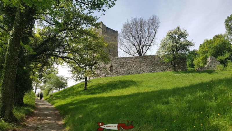 Le château de Saint-MArtin du Chêne en montant depuis le parking.