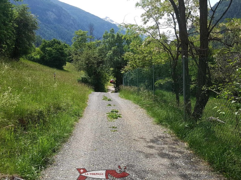 route menant au pont suspendu de Niouc. Pont Suspendu de Niouc, val d'Anniviers.