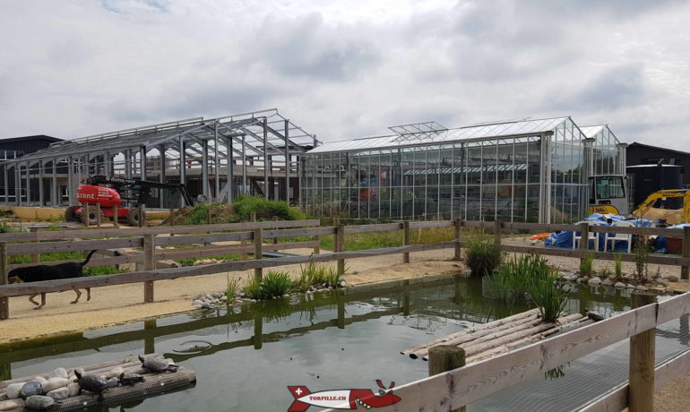 🐶🐊 Centre Emys – Protection et Récupération des Tortues – Chavornay