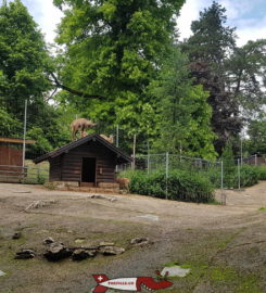 🐅 Zoo et Vivarium du Bois du Petit-Château