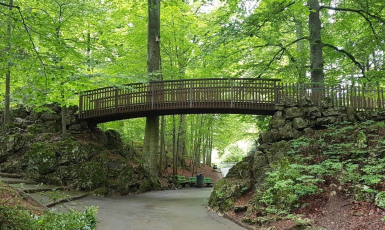 🐅🐊🐎 Muzoo – La Chaux-de-Fonds