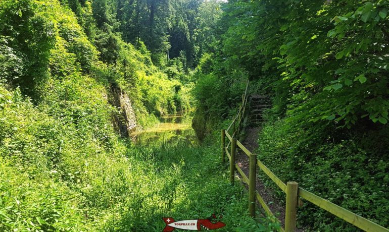 🏛️ Canal d’Entreroches – Eclepens