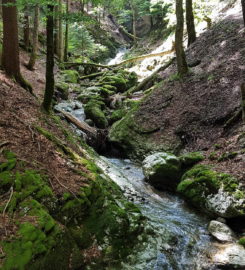 ⛰️ Gorges de Covatannaz – Ste-Croix