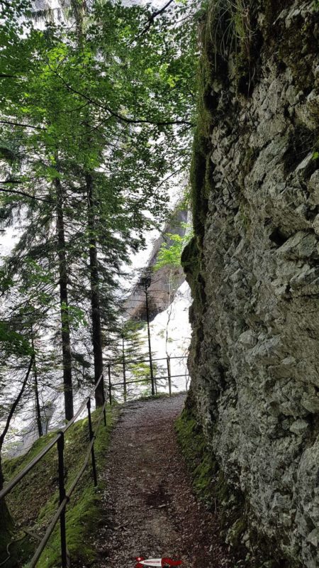 Le sentier des gorges de Covatannaz prends rapidement de la hauteur par rapport à la rivière avec d'impressionnantes parois rocheuses