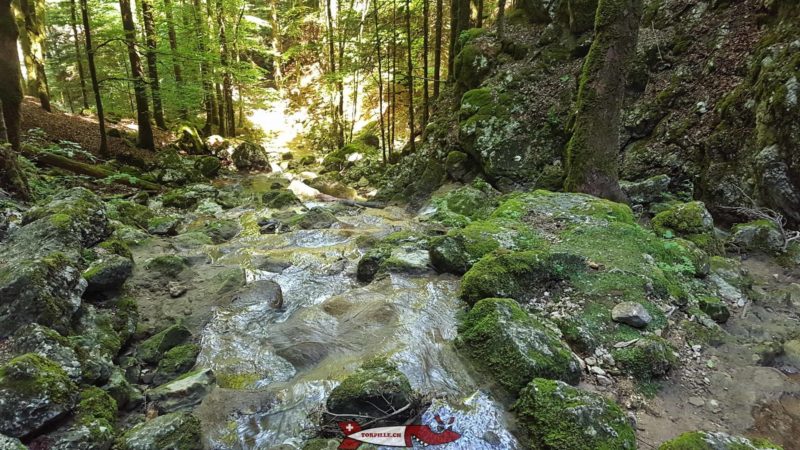 Après avoir passé sous le petit pont en bois, l'eau venant de la cascade de Môtiers forme une joli torrent dans la forêt.