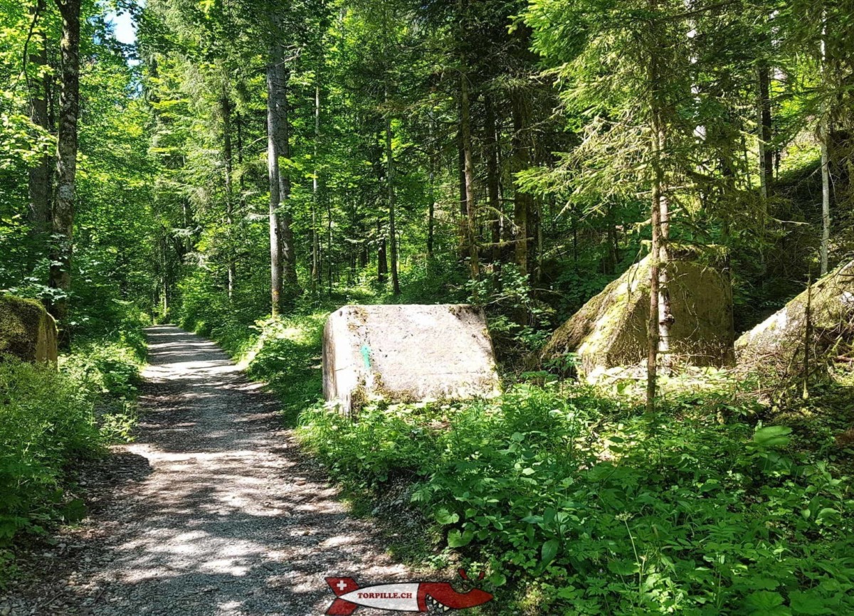 Des "Toblerones" proches des gorges de la Poëta-Raisse dans le canton de Neuchâtel ! Des "Toblerones" proches des gorges de la Poëta-Raisse dans le canton de Neuchâtel !