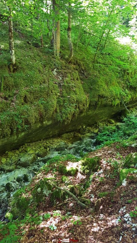 Le lit du ruisseau du breuil sur le parcours des gorges de la Poëta-Raisse