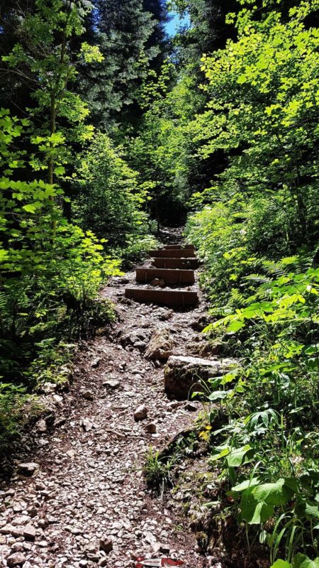 Le sentier grimpant avec des escaliers sur le parcours des gorges de la Poëta-Raisse