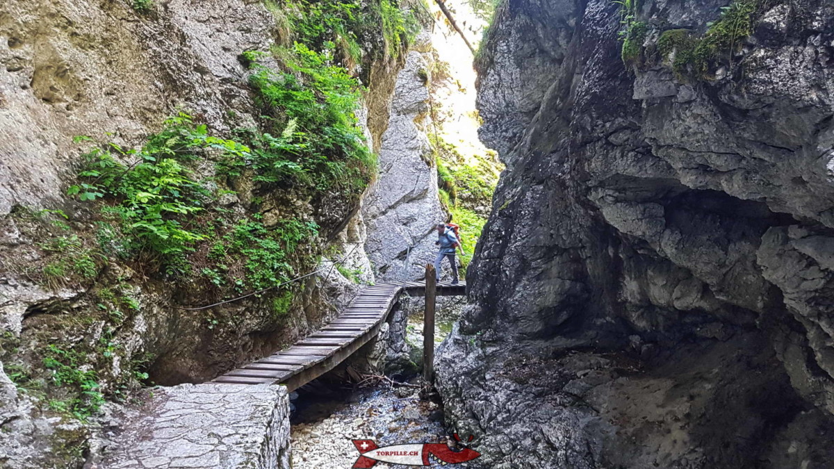 Les passerelles au fond des gorges.