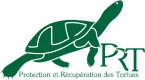 logo protection et récupération des tortues