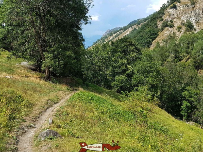 Le chemin le long des gorges de la Borgne. Descente Rive gauche. Gorges de la Borgne - Val d'Hérens Le chemin le long des gorges de la Borgne. Descente Rive gauche. Gorges de la Borgne - Val d'Hérens