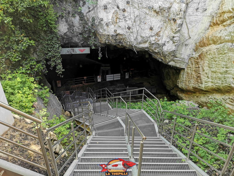 Les escaliers qui descendent dans la grotte. Lac Souterrain de Saint-Léonard