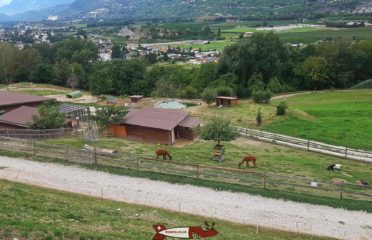 🐐 Ferme l’Arche des Crétillons – Chalais