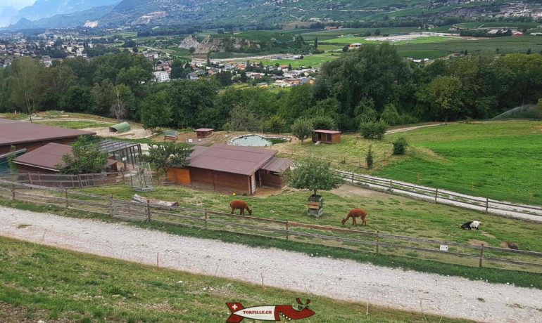 🐐 Ferme l’Arche des Crétillons – Chalais