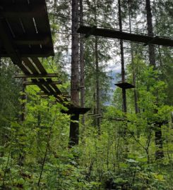 🌲 Accrobranche Parc des Diables – Les Diablerets