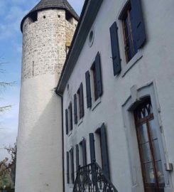🏰 Château de la Tour-de-Peilz