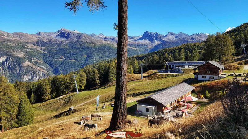 L'étable à Sigeroulaz et le cabanon blanc pour s'équiper pour l'accrobranche de forêt aventures