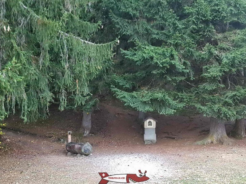 l'entrée du chemin dans la forêt pour accéder à la statue du Christ-Roi l'entrée du chemin dans la forêt pour accéder à la statue du Christ-Roi