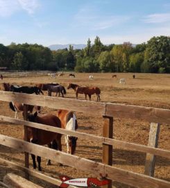 🐐 Ferme de la Gavotte Lancy