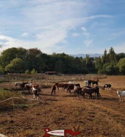 🐐 Ferme de la Gavotte Lancy