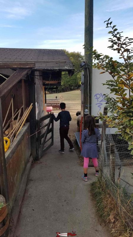 Des enfants ;-) ouvrent la porte d'entrée pour le grand parc de la ferme de la Gavotte