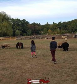 🐐 Ferme de la Gavotte Lancy