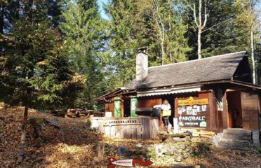 🌲 Organic Adventure Park – Champéry