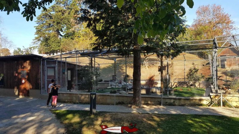 Perruches et perroquets dans les volières à la ferme de la fondation CSC à Saint-Barthélémy