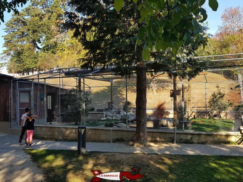 Un enclos du parc animalier de la ferme de la Fondation St-Barthelémy.