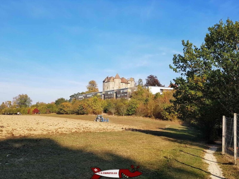 Le château depuis la ferme de la Fondation CSC. Le château depuis la ferme de la Fondation CSC.