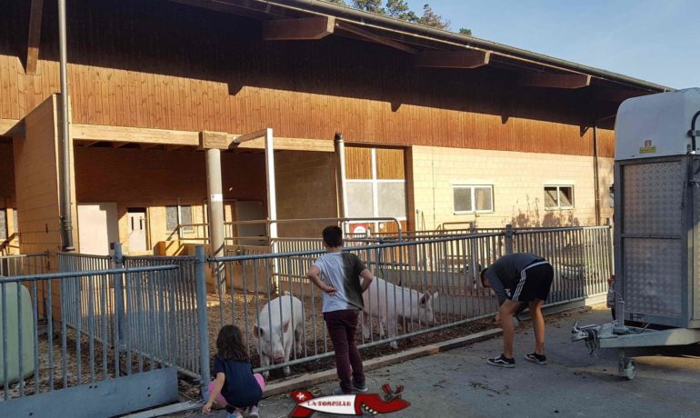 🐐 Ferme de la Fondation St-Barthélemy