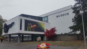 Musée d'histoire naturelle de Genève