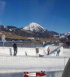 🛟 Tobogganing Park – Leysin