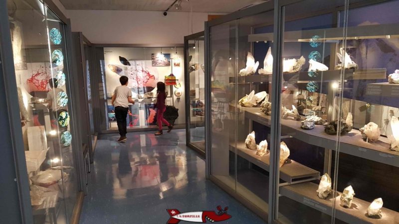 vitrines sur le thème de minéralogie au musée d'histoire naturelle de fribourg