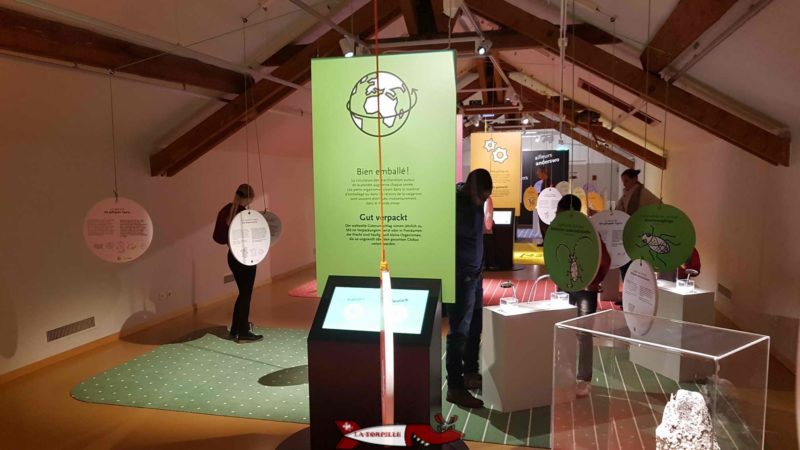 L'étage du musée d'histoire naturelle de Fribourg consacré aux expositions temporaires.