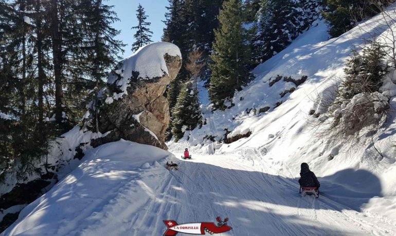 🛷 Piste de Luge d’Hiver aux Marécottes