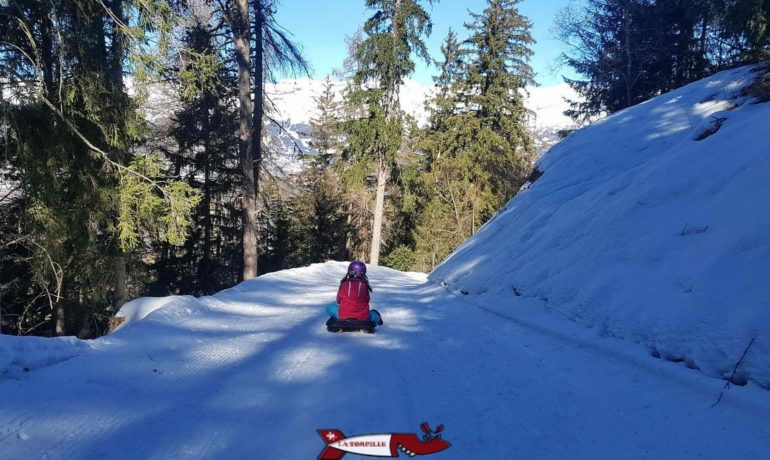 🛷 Piste de Luge d’Hiver de Vercorin