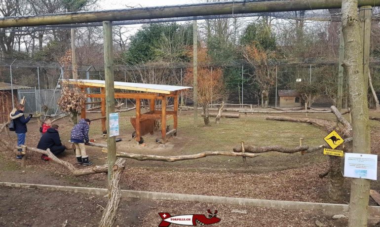 🐅 Bioparc Genève