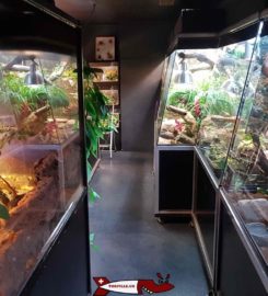 🐊 Vivarium de Meyrin