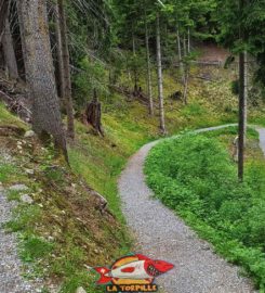 🏞️ Bisse des Ravines – Bruson