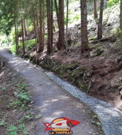 🏞️ Bisse des Ravines – Bruson