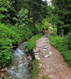 🏞️ Bisse du Petit Ruisseau Champex-Lac