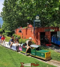 🛤️🚤  Iles Vapeur Parc – Sion