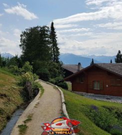 🚤🏞️ Bisse et Etang des Miriouges – Lens