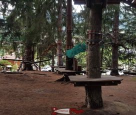 🌲 Accrobranche Adrenatur Fun Forest Crans Montana