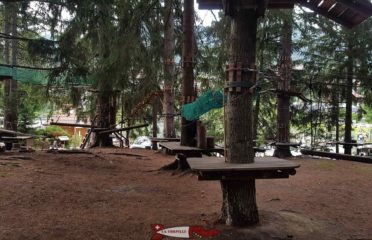🌲 Accrobranche Adrenatur Fun Forest Crans Montana