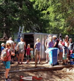 🌲 Accrobranche – Sentier Suspendu de la Fouly