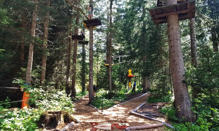 🌲 Accrobranche – Sentier Suspendu de la Fouly