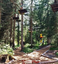 🌲 Accrobranche – Sentier Suspendu de la Fouly